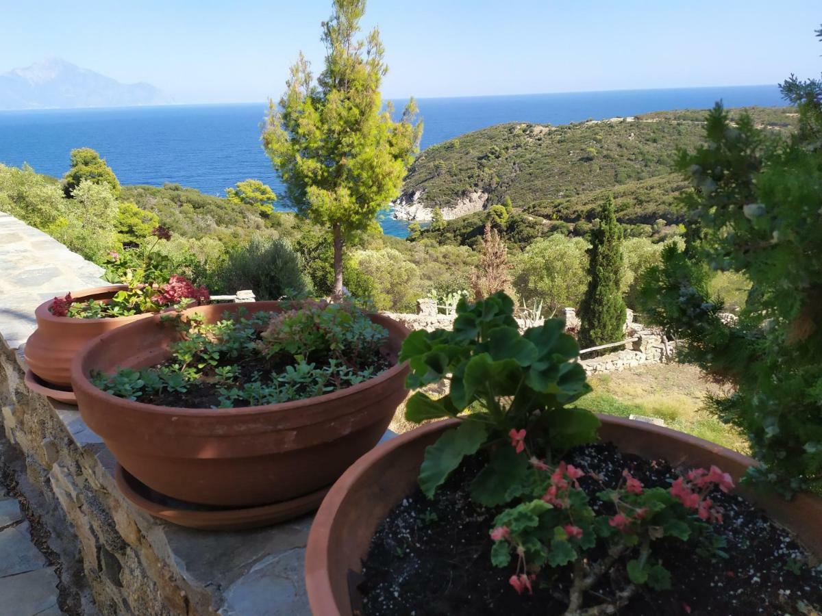 Villa Athos ซาร์ตี ภายนอก รูปภาพ